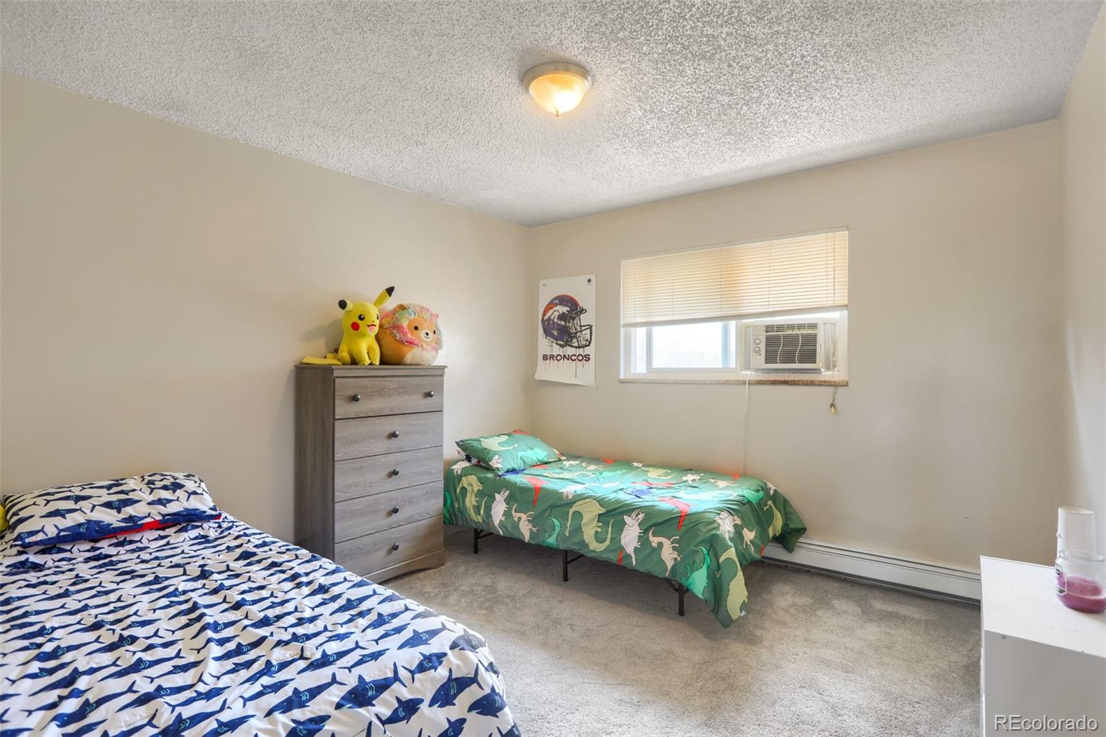 MLS Image #18 for 4645 s lowell boulevard,denver, Colorado