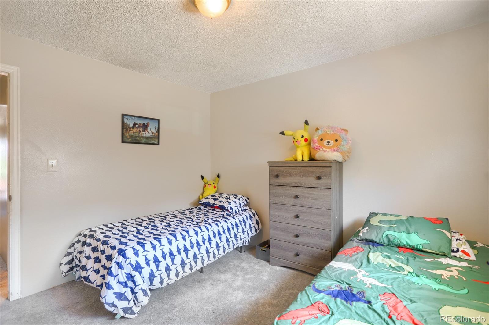 MLS Image #19 for 4645 s lowell boulevard,denver, Colorado