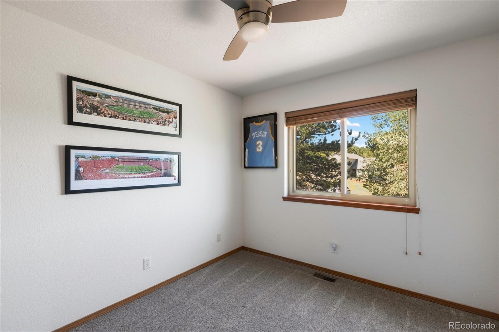 MLS Image #18 for 290  taopi circle,woodland park, Colorado