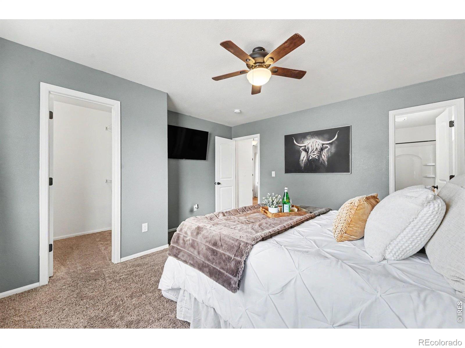 MLS Image #9 for 940  scotch pine drive,severance, Colorado