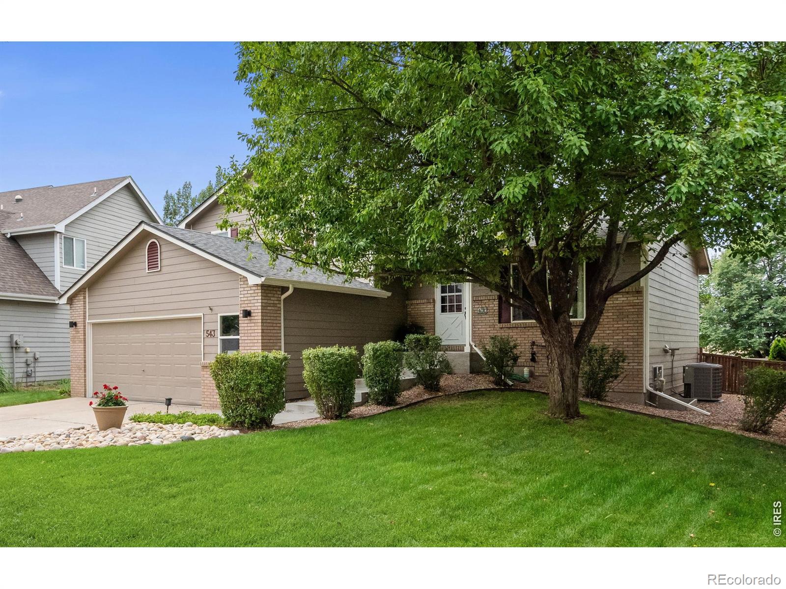 MLS Image #1 for 543  charrington court,fort collins, Colorado