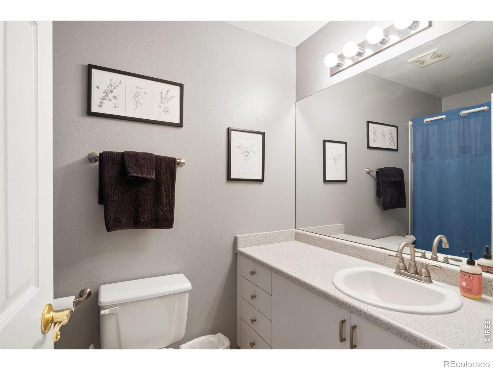 MLS Image #28 for 543  charrington court,fort collins, Colorado