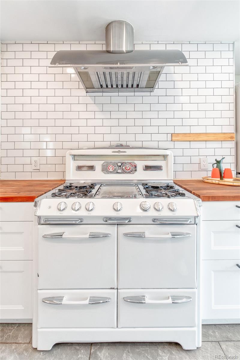 MLS Image #21 for 7655  marilyn jean drive,arvada, Colorado