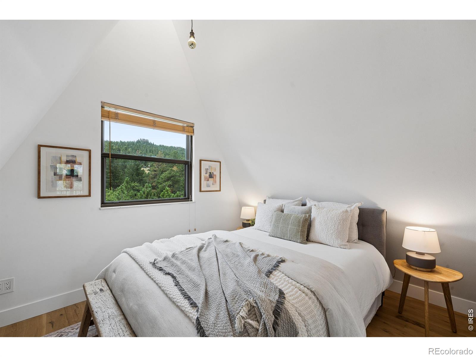 MLS Image #19 for 118  crooked spur,boulder, Colorado