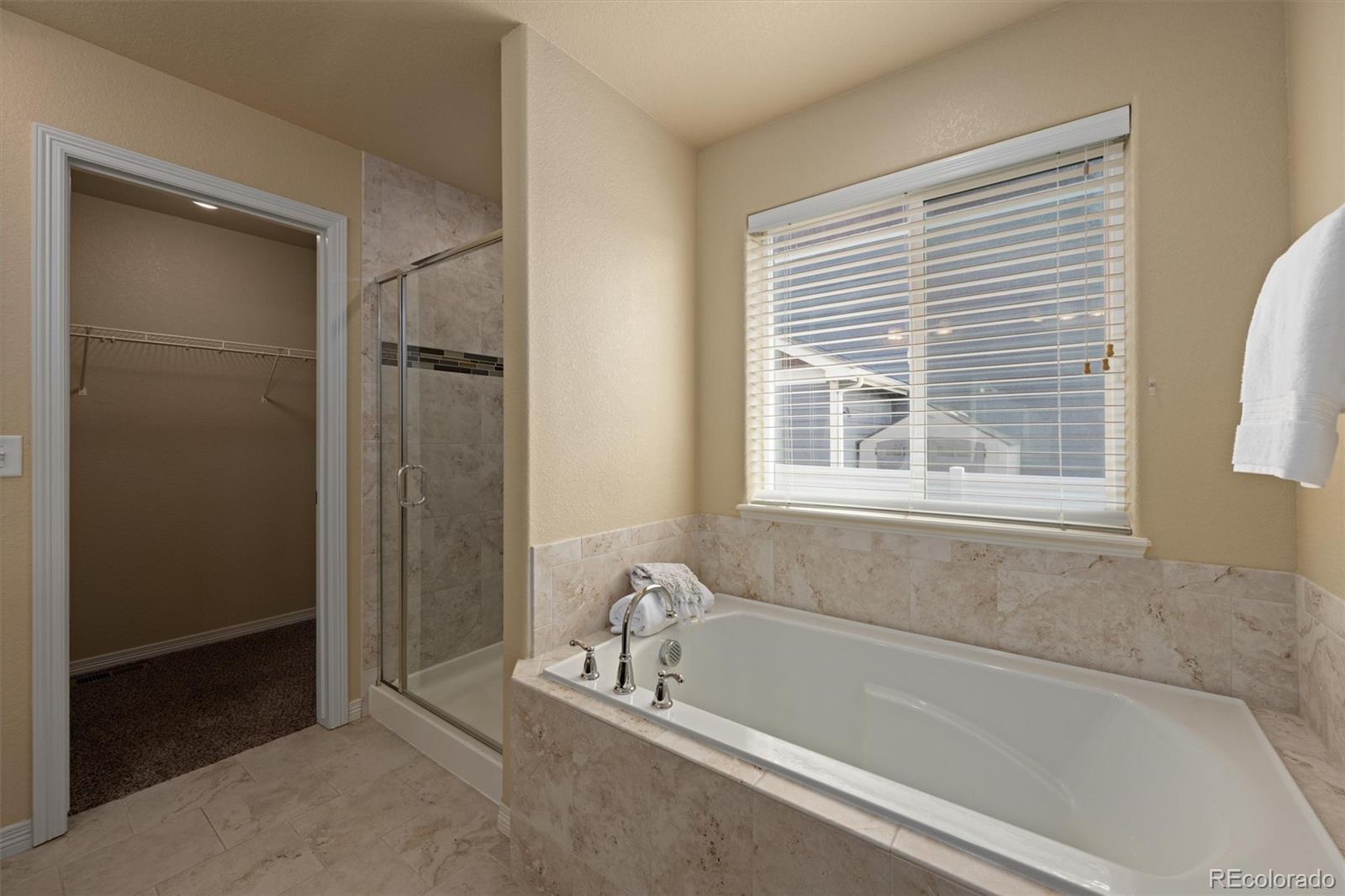 MLS Image #15 for 6005  clarence drive,windsor, Colorado