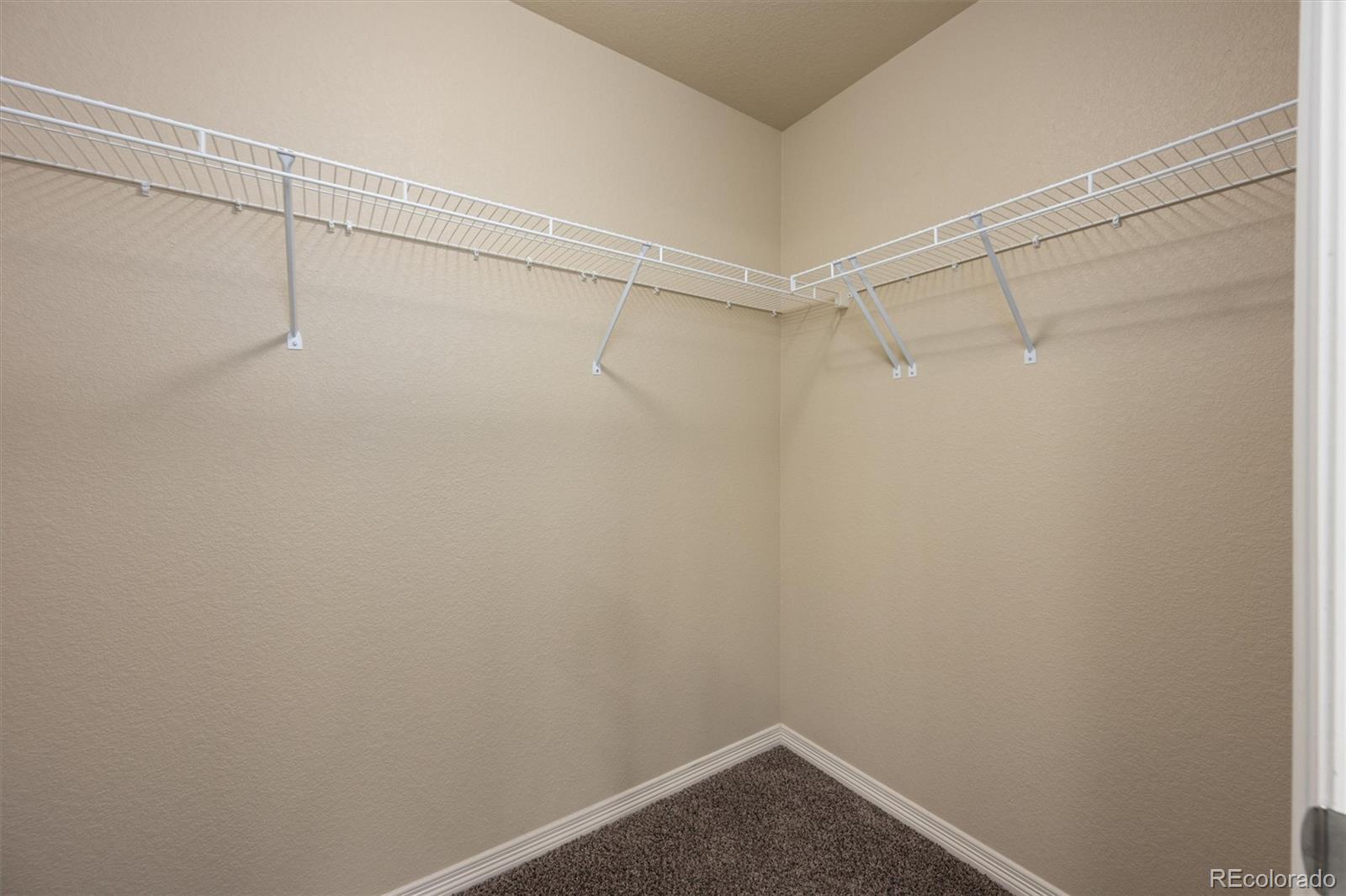 MLS Image #16 for 6005  clarence drive,windsor, Colorado