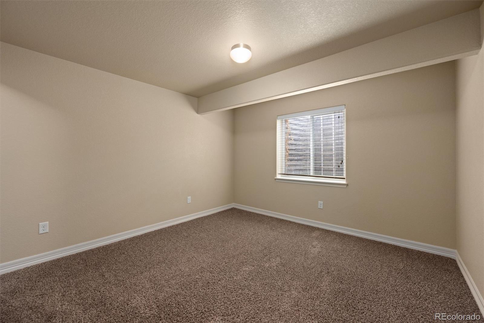 MLS Image #23 for 6005  clarence drive,windsor, Colorado