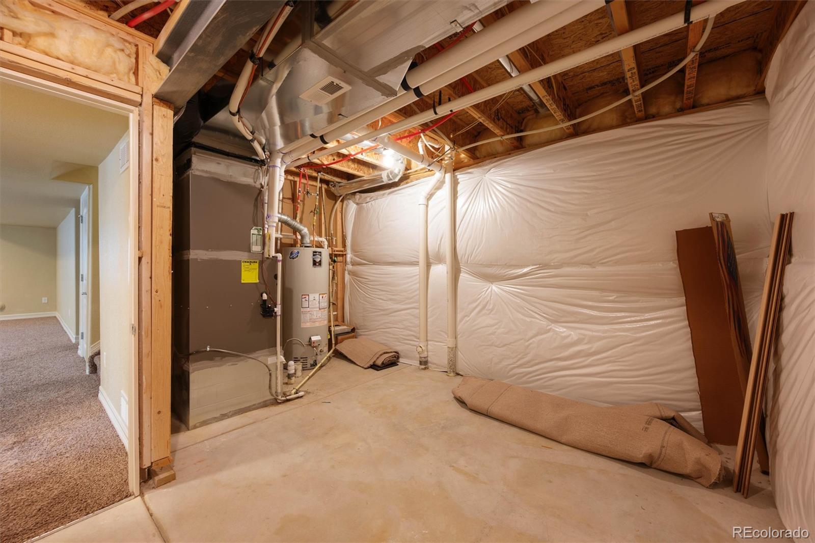 MLS Image #29 for 6005  clarence drive,windsor, Colorado