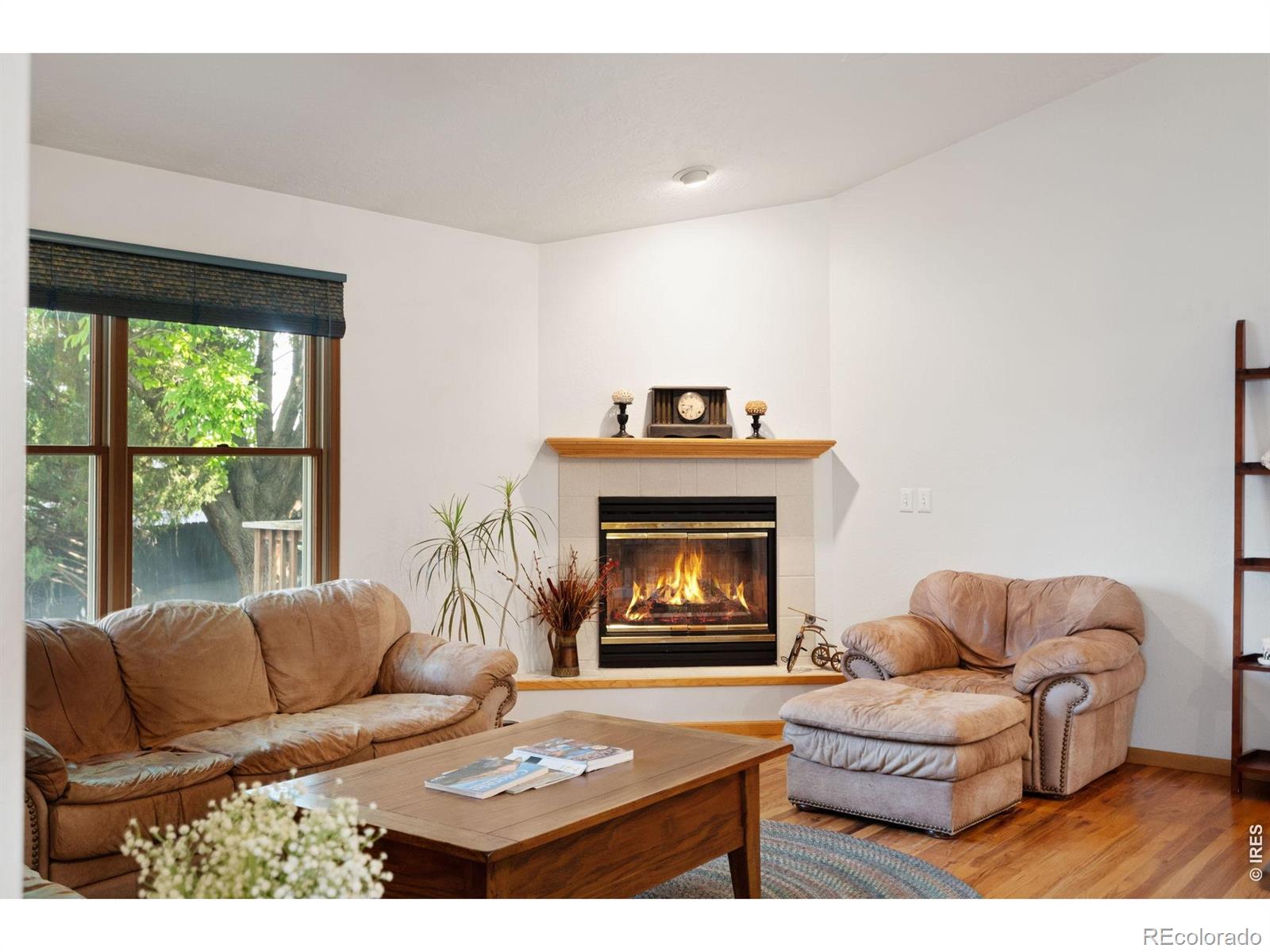 MLS Image #4 for 309 n 49th ave pl,greeley, Colorado