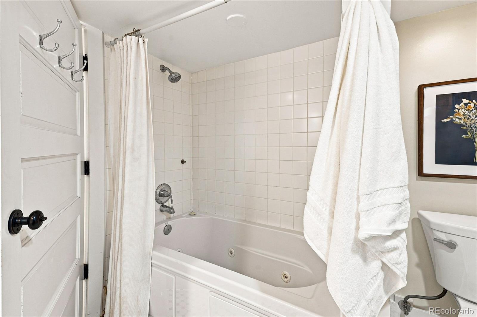 MLS Image #26 for 2045 s sherman street,denver, Colorado