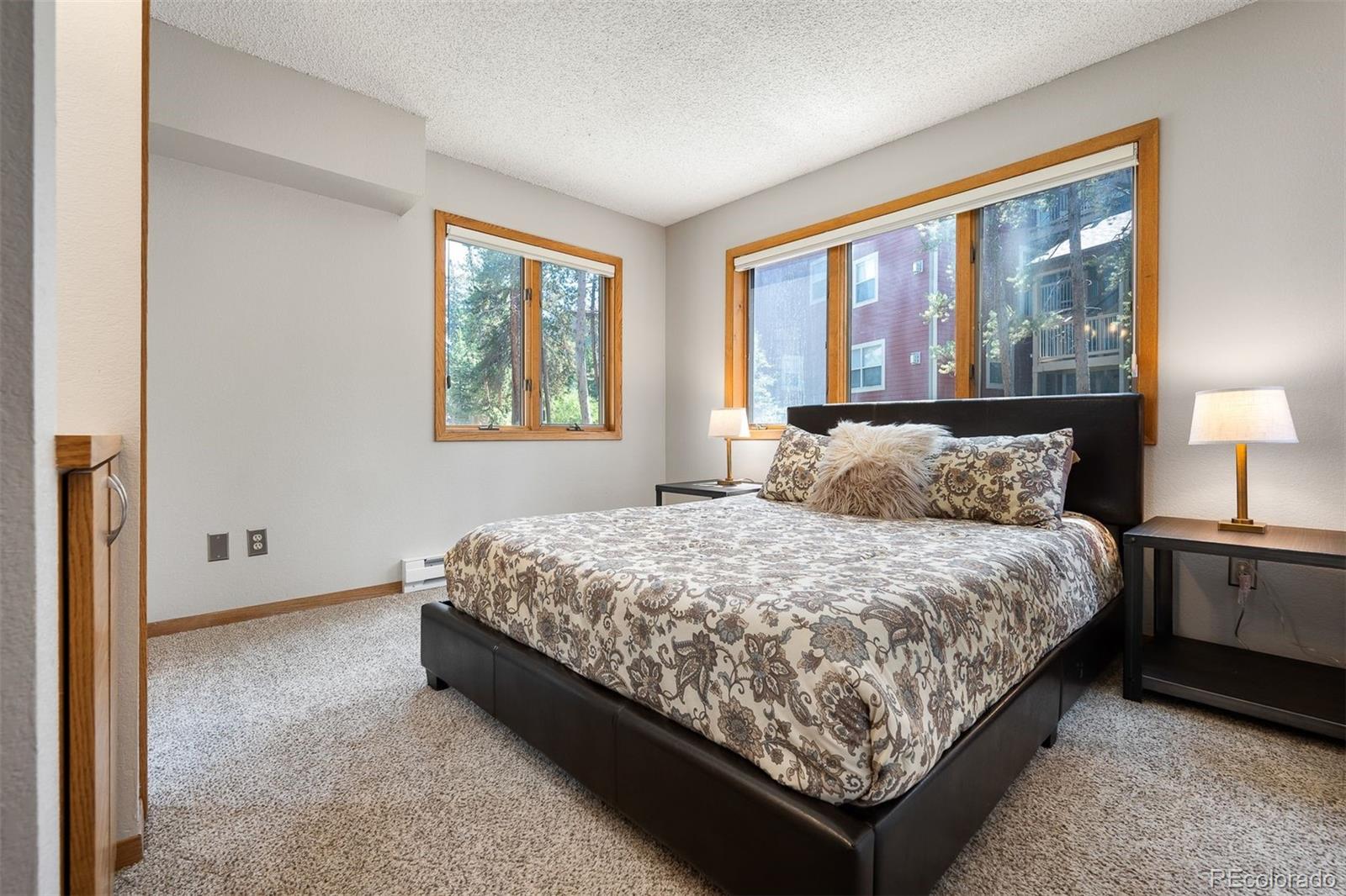 MLS Image #20 for 100  bryant boulevard,fraser, Colorado