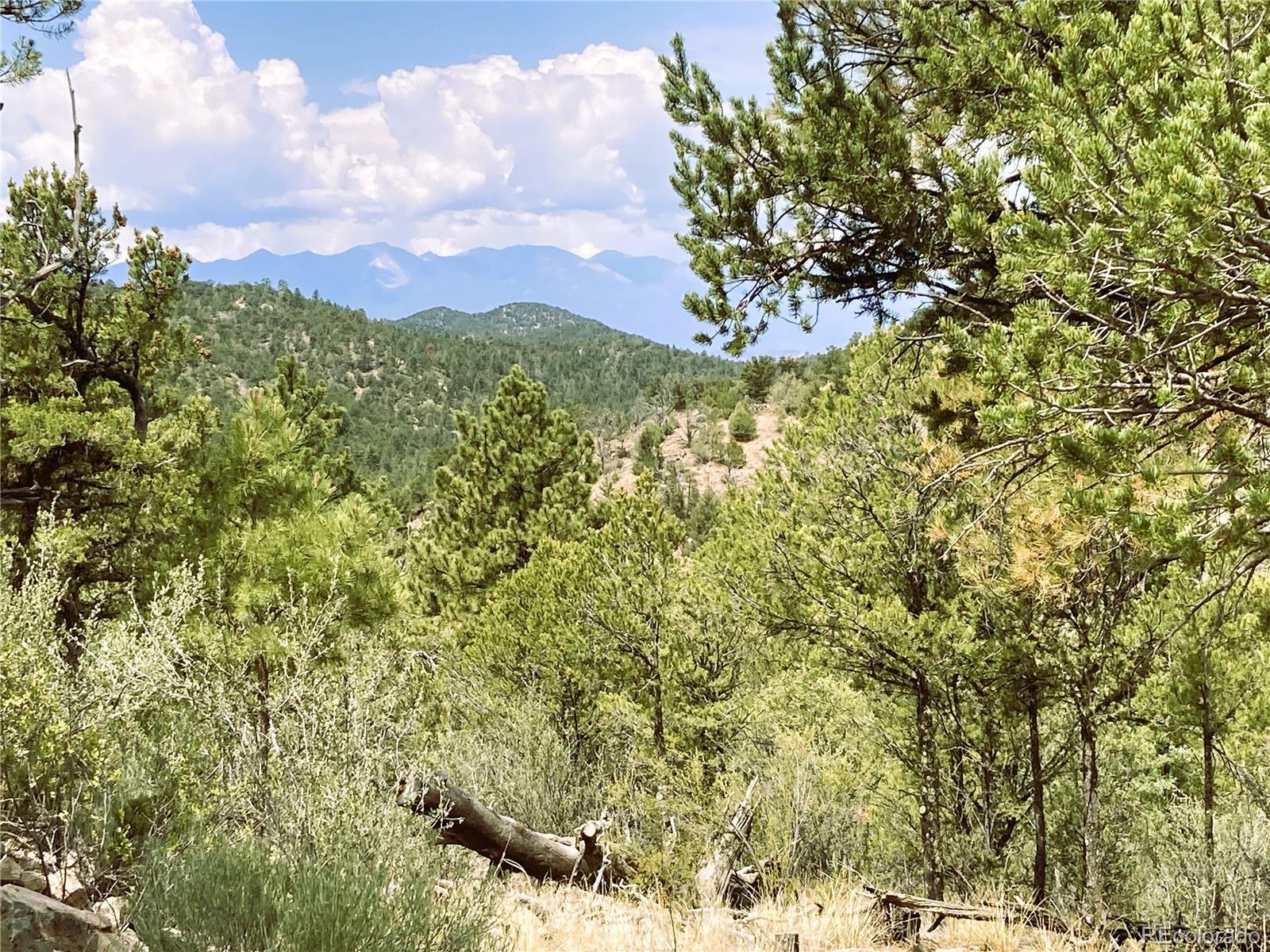 MLS Image #18 for 1209  coyote run,cotopaxi, Colorado