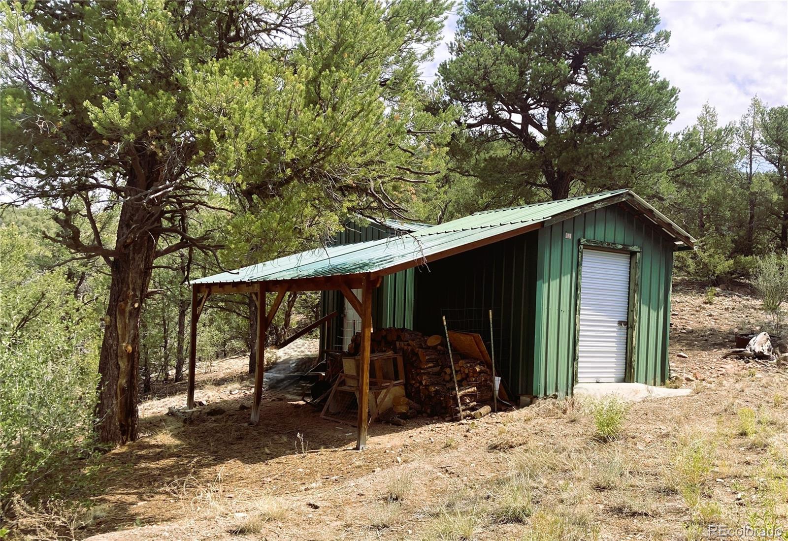 MLS Image #19 for 1209  coyote run,cotopaxi, Colorado