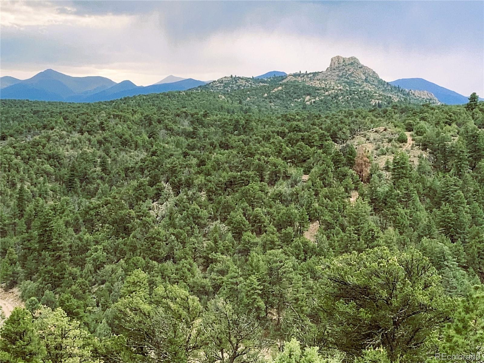 MLS Image #20 for 1209  coyote run,cotopaxi, Colorado