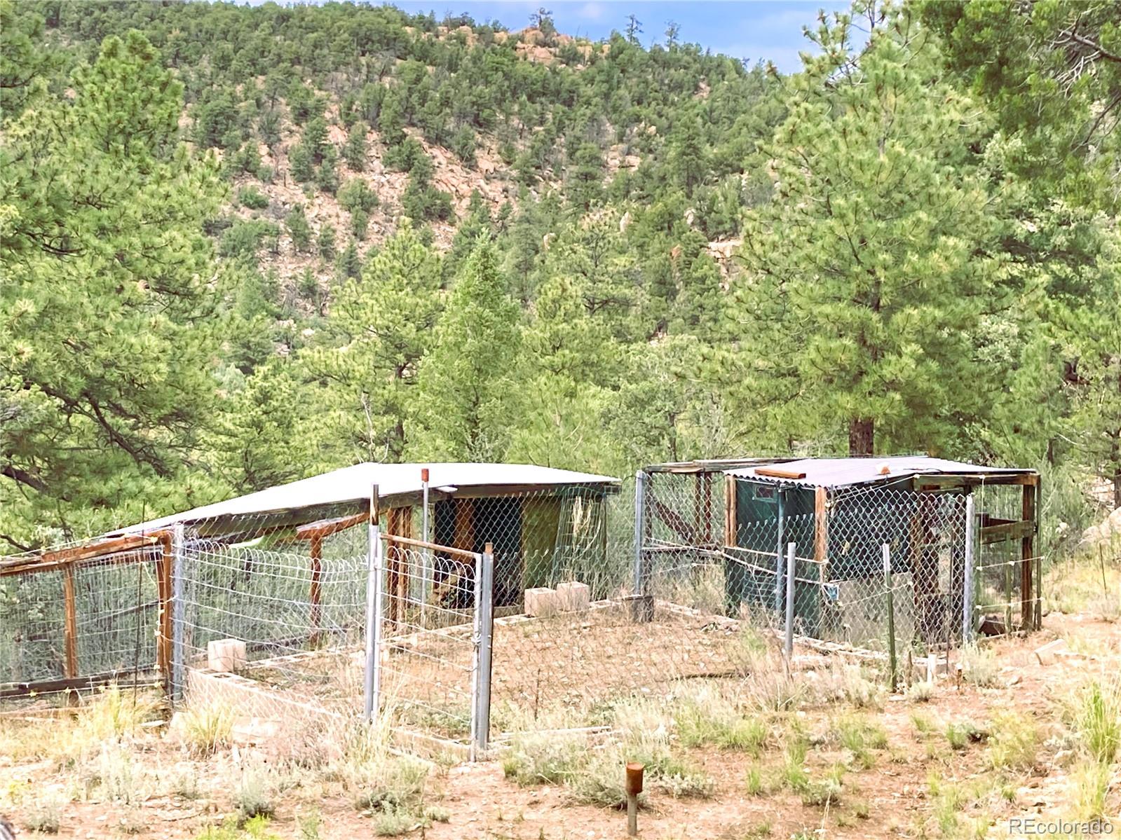 MLS Image #25 for 1209  coyote run,cotopaxi, Colorado
