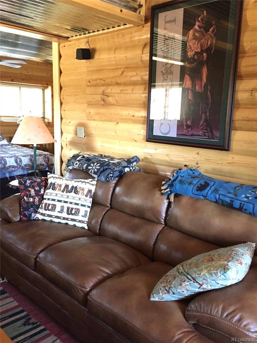 MLS Image #28 for 1209  coyote run,cotopaxi, Colorado