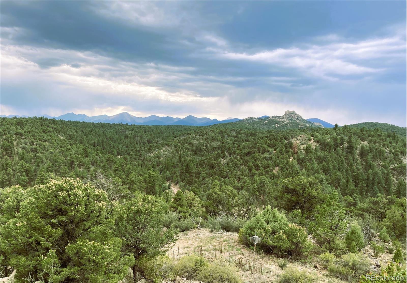 MLS Image #30 for 1209  coyote run,cotopaxi, Colorado