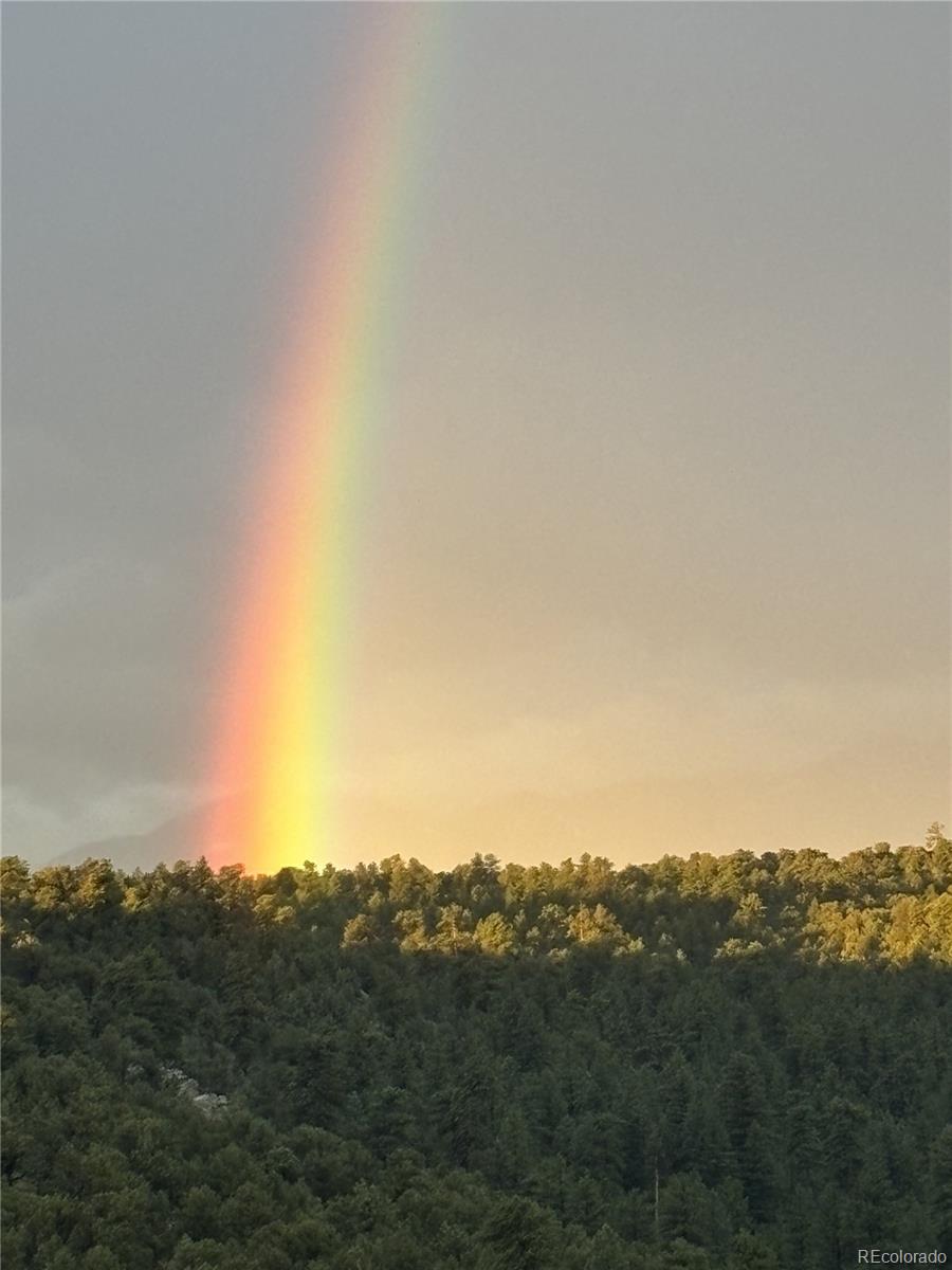 MLS Image #42 for 1209  coyote run,cotopaxi, Colorado