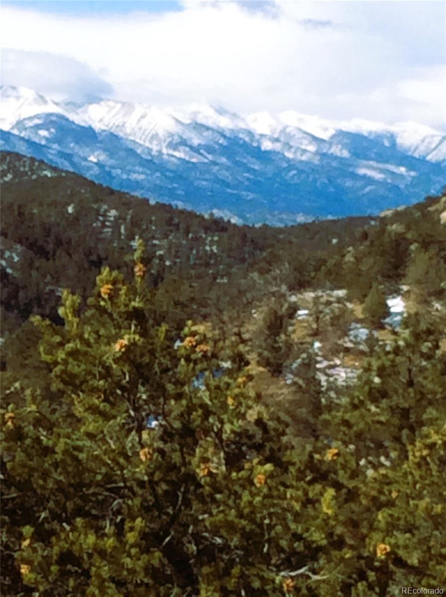 MLS Image #44 for 1209  coyote run,cotopaxi, Colorado