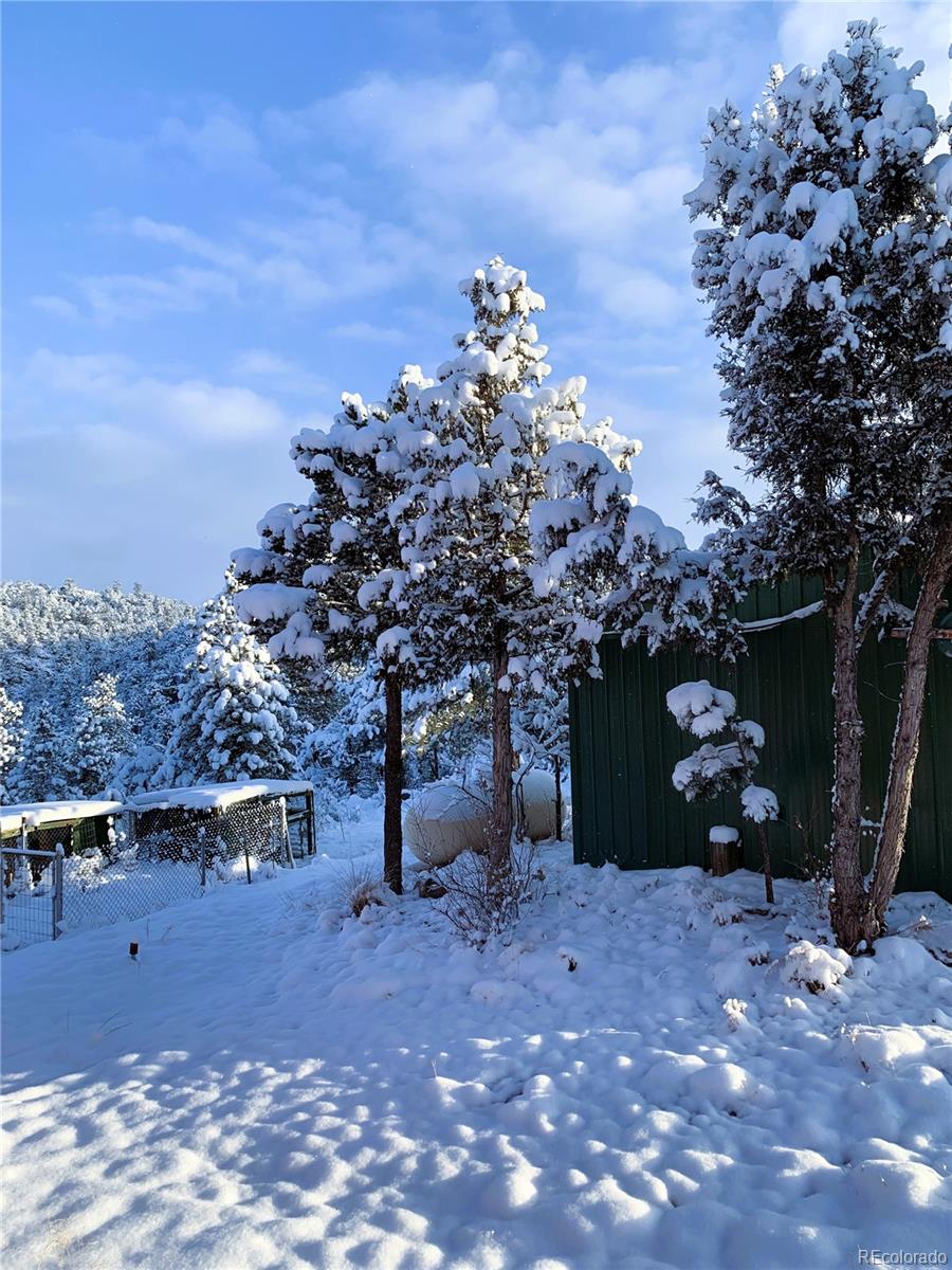 MLS Image #46 for 1209  coyote run,cotopaxi, Colorado