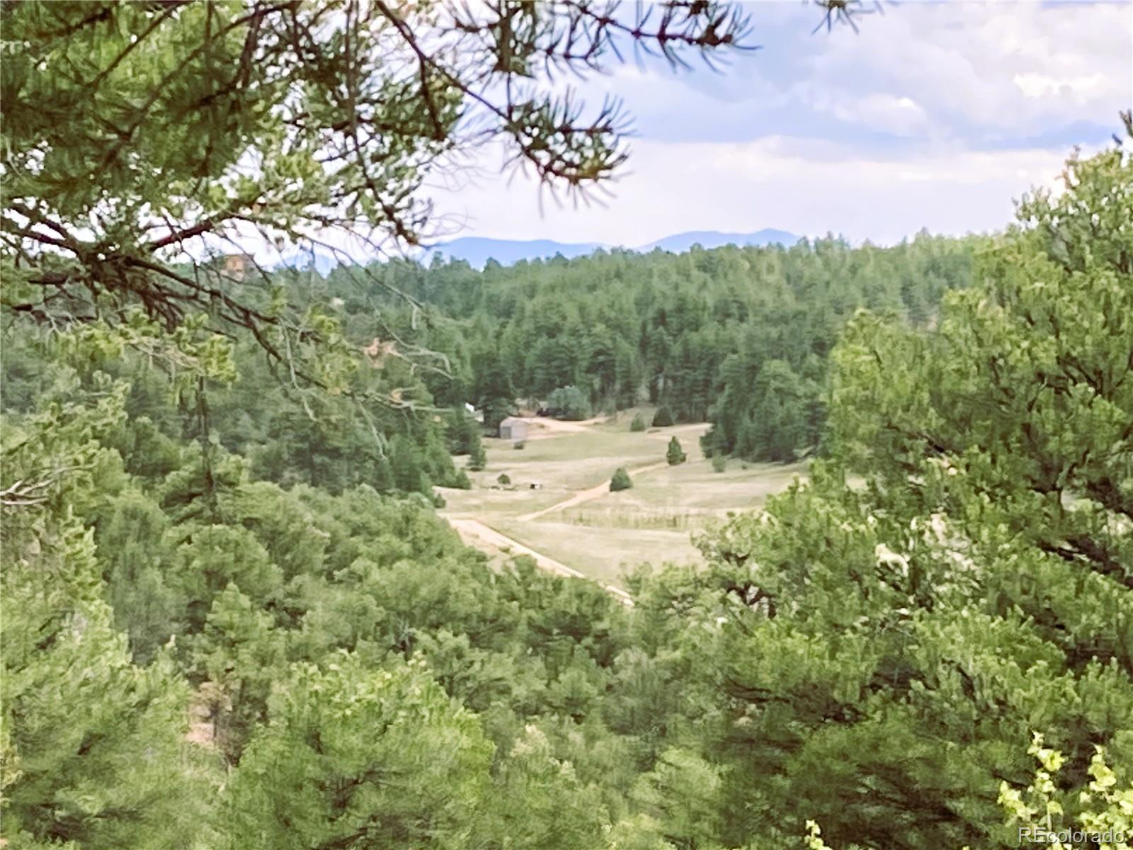 MLS Image #47 for 1209  coyote run,cotopaxi, Colorado