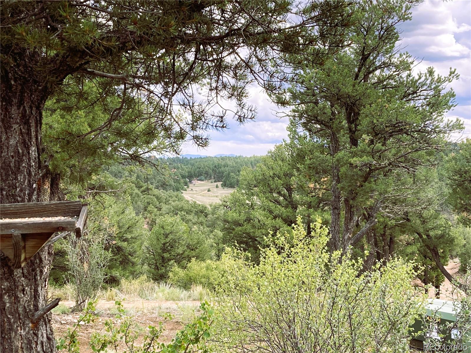 MLS Image #48 for 1209  coyote run,cotopaxi, Colorado