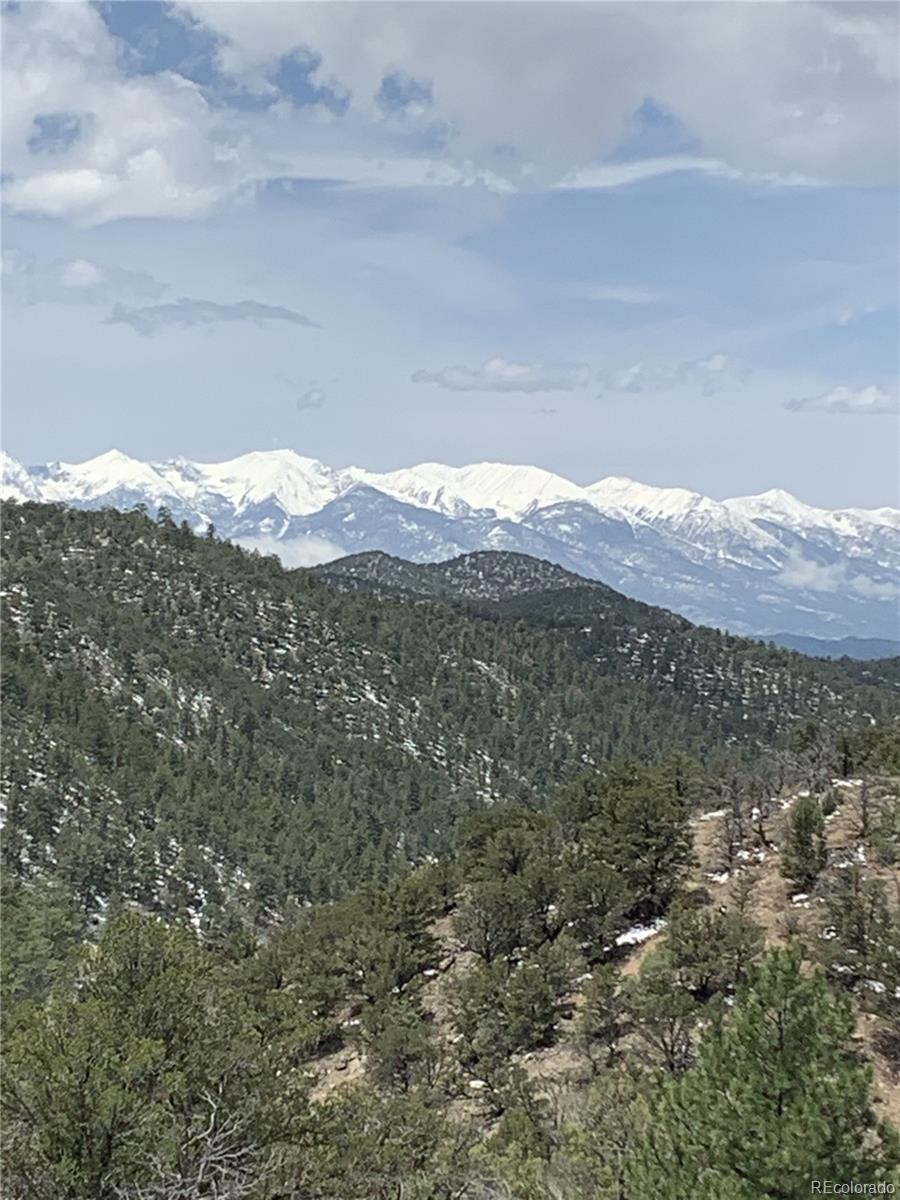 MLS Image #5 for 1209  coyote run,cotopaxi, Colorado