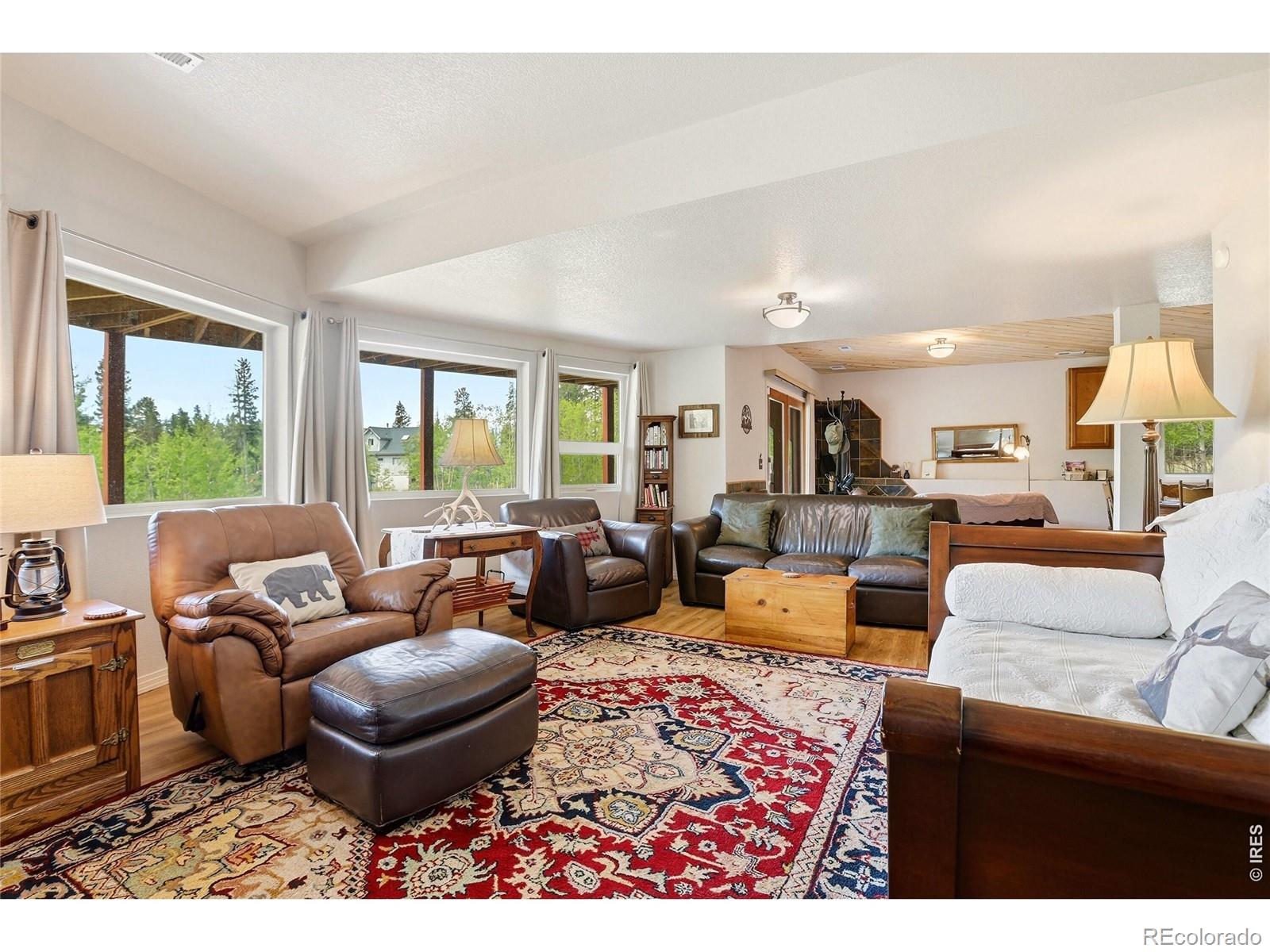 MLS Image #21 for 208  howe court,black hawk, Colorado