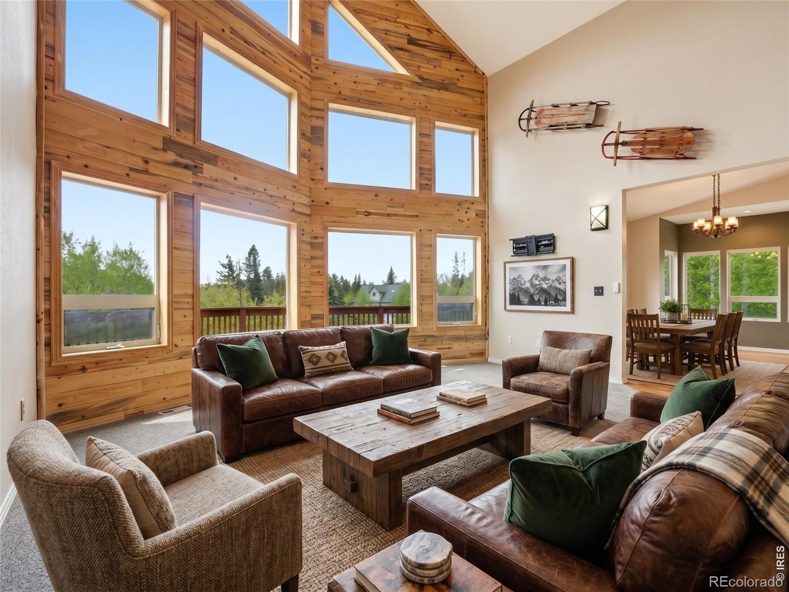 MLS Image #3 for 208  howe court,black hawk, Colorado