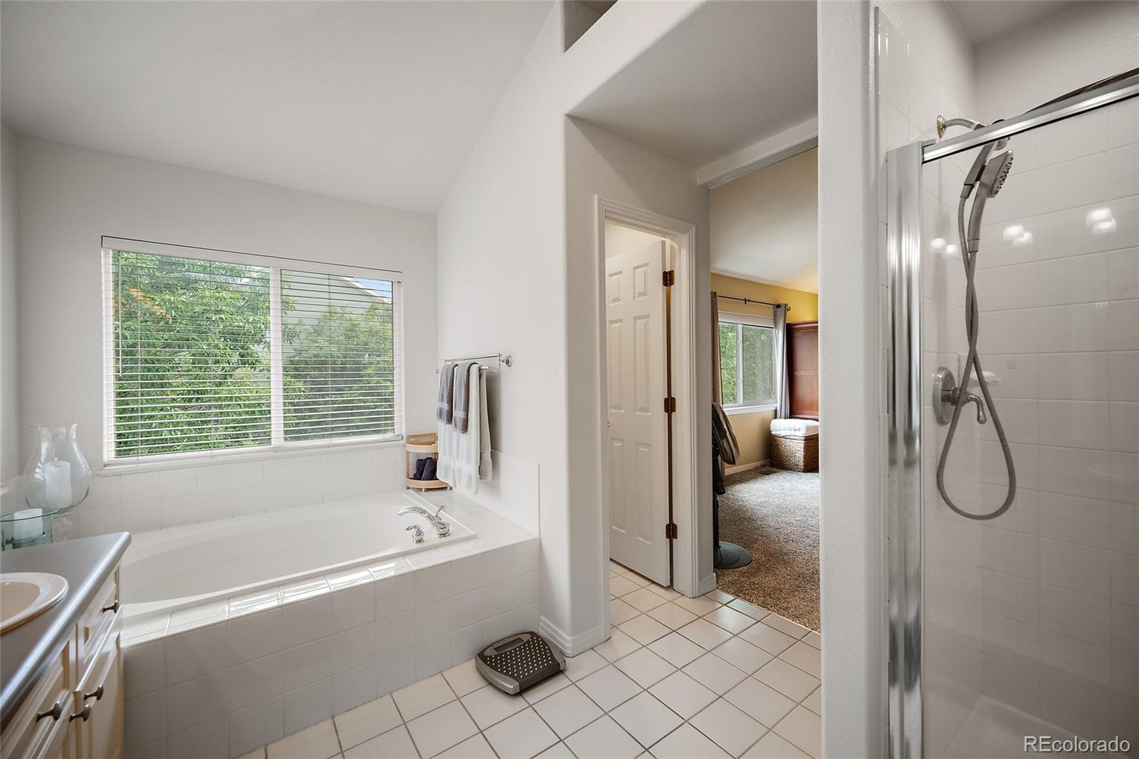 MLS Image #16 for 17558  gypsum court,parker, Colorado