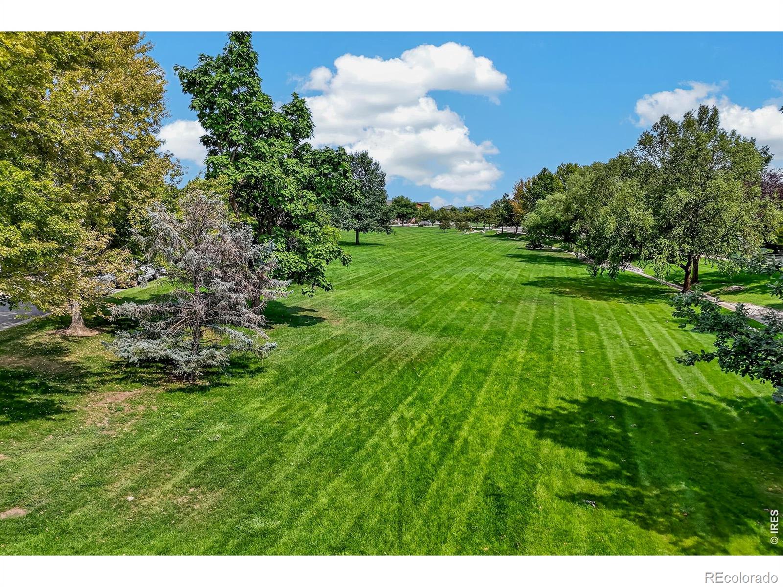 MLS Image #4 for 510 n parkside drive,longmont, Colorado
