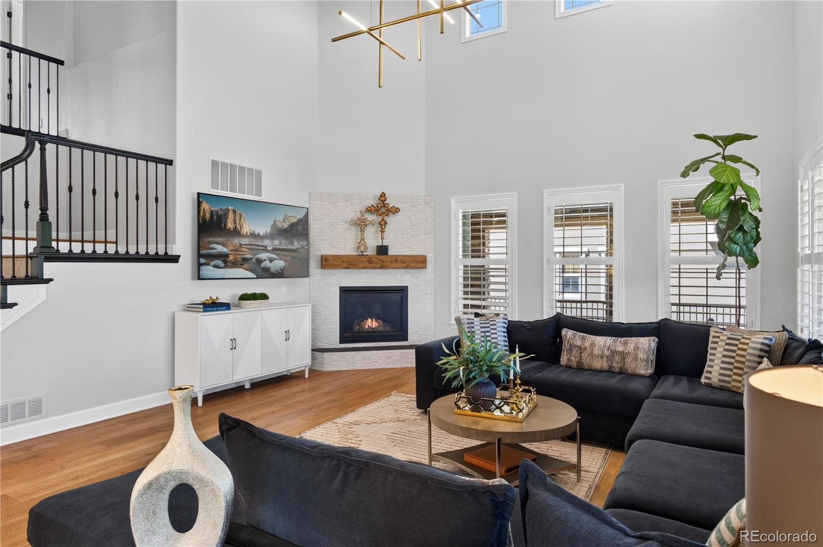 MLS Image #10 for 255  maplehurst point,highlands ranch, Colorado