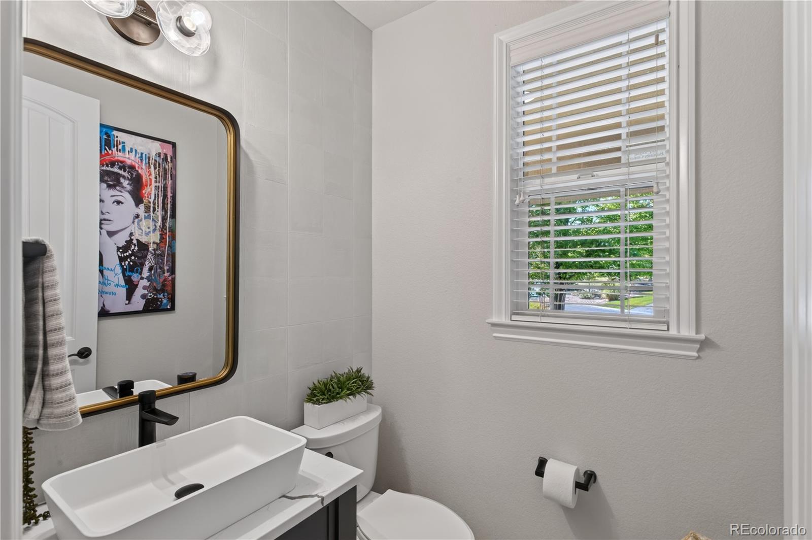 MLS Image #19 for 255  maplehurst point,highlands ranch, Colorado
