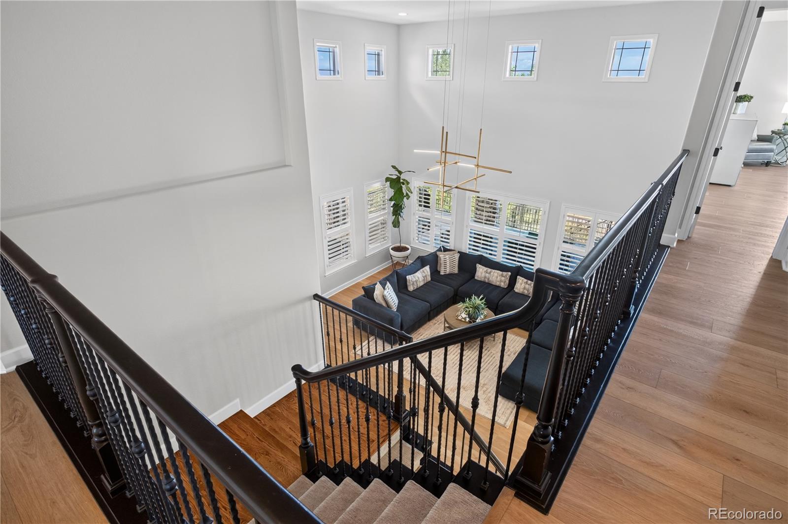 MLS Image #21 for 255  maplehurst point,highlands ranch, Colorado