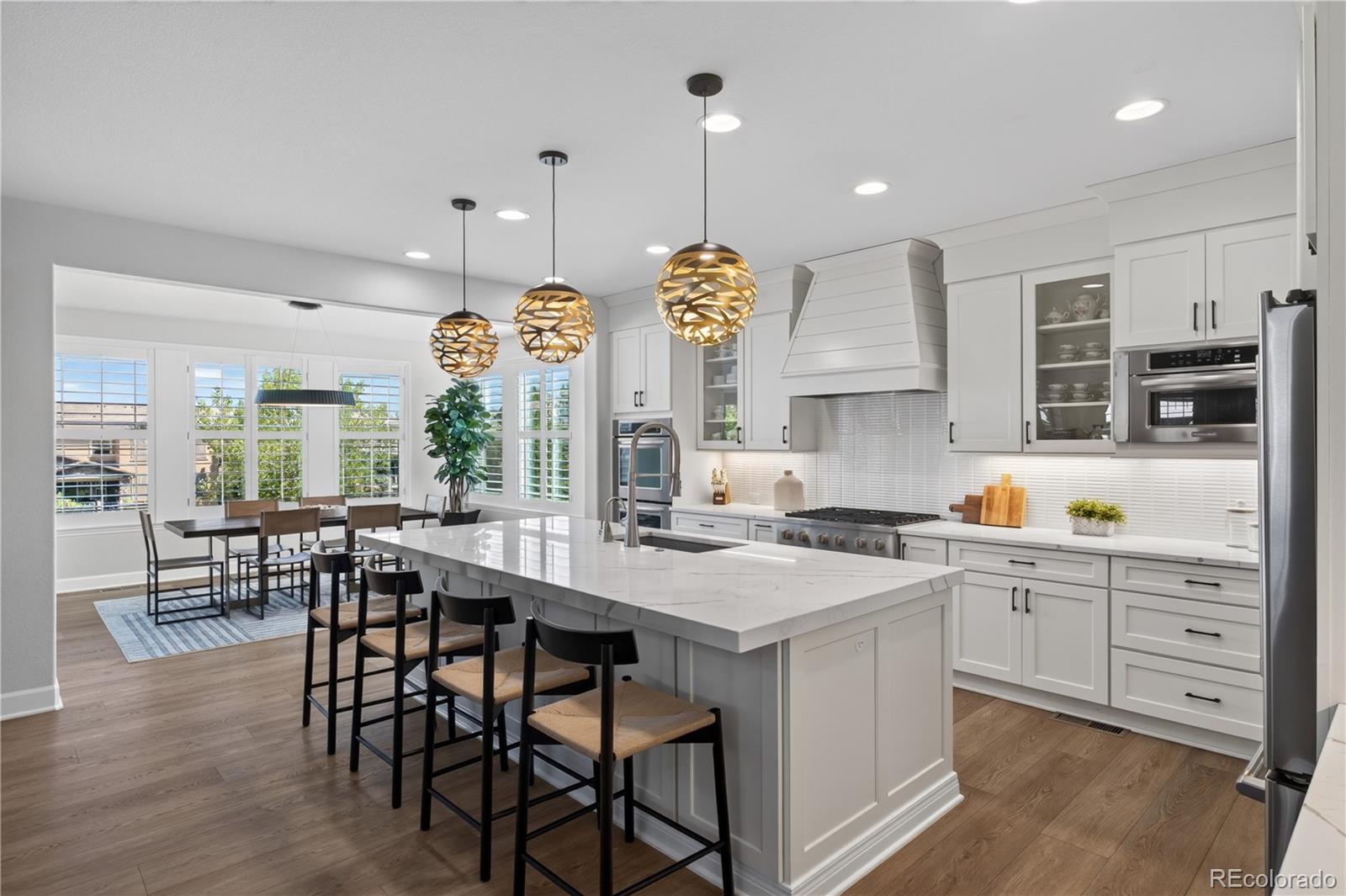 MLS Image #6 for 255  maplehurst point,highlands ranch, Colorado