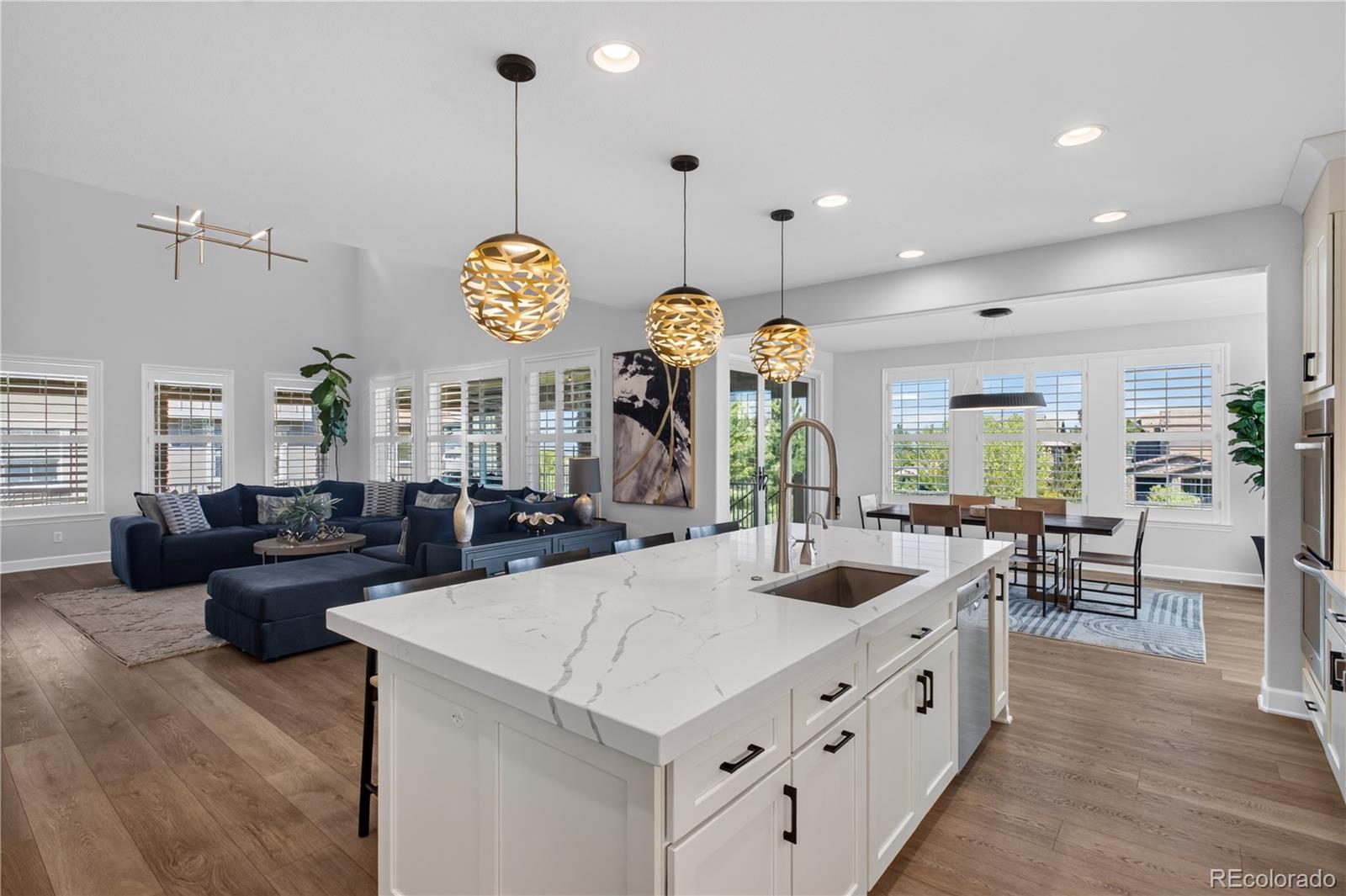 MLS Image #9 for 255  maplehurst point,highlands ranch, Colorado