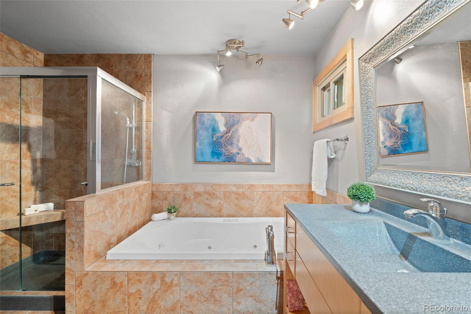 MLS Image #19 for 7787  windfont row,parker, Colorado