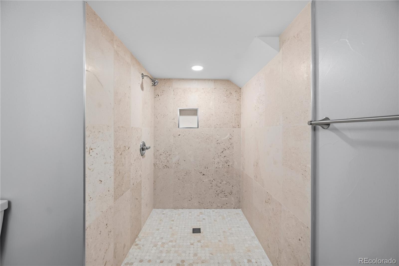 MLS Image #41 for 8898  cactus flower way,littleton, Colorado