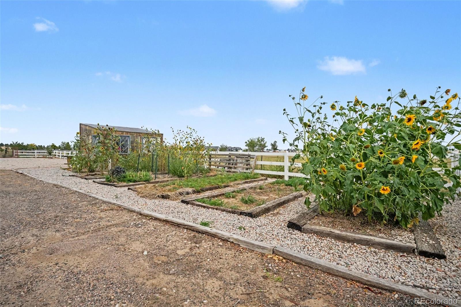 MLS Image #41 for 29575 e 144th avenue,brighton, Colorado
