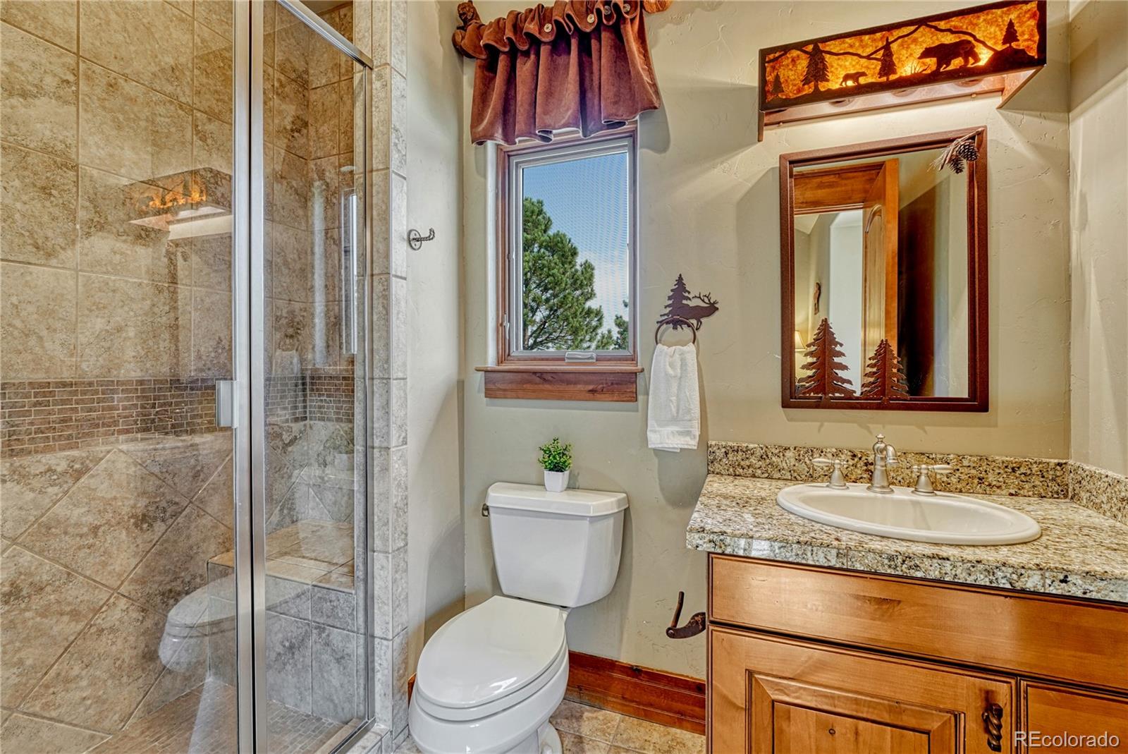 MLS Image #23 for 5181  warbler court,parker, Colorado