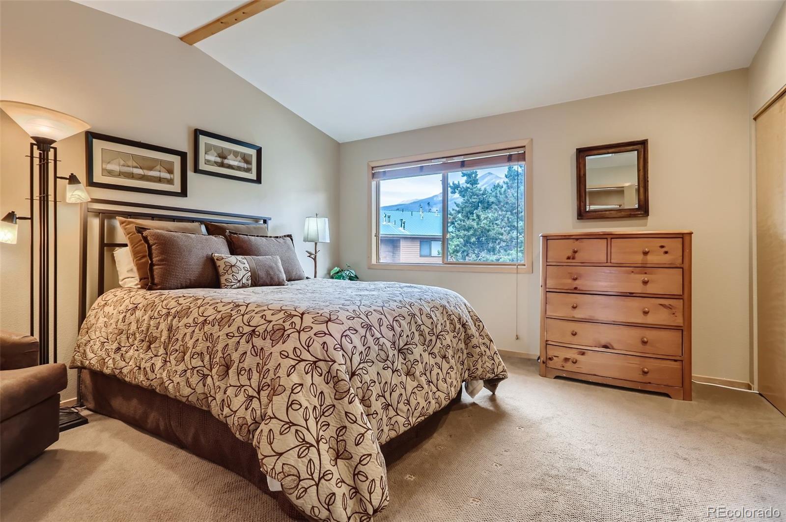 MLS Image #10 for 736  meadow creek drive,frisco, Colorado