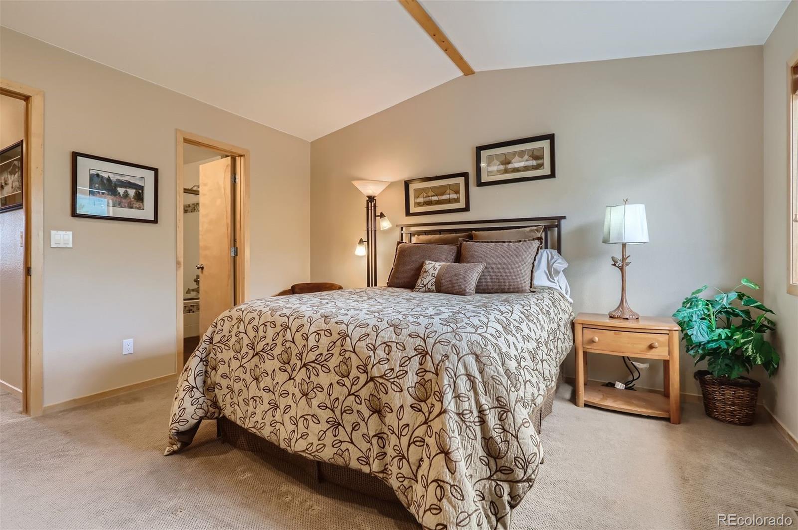 MLS Image #11 for 736  meadow creek drive,frisco, Colorado