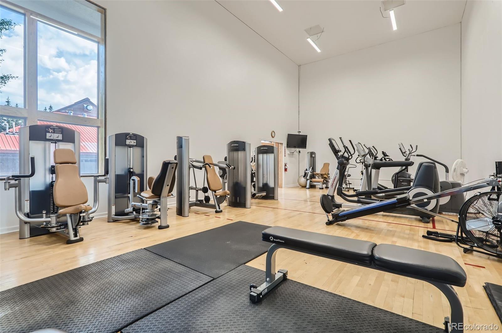 MLS Image #20 for 736  meadow creek drive,frisco, Colorado