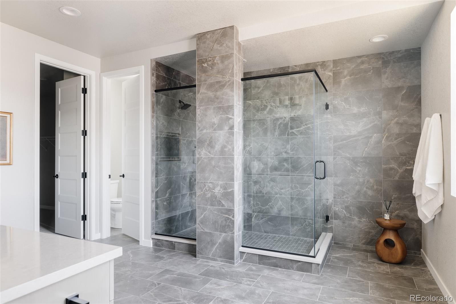 MLS Image #19 for 11346  alla breve circle,lone tree, Colorado