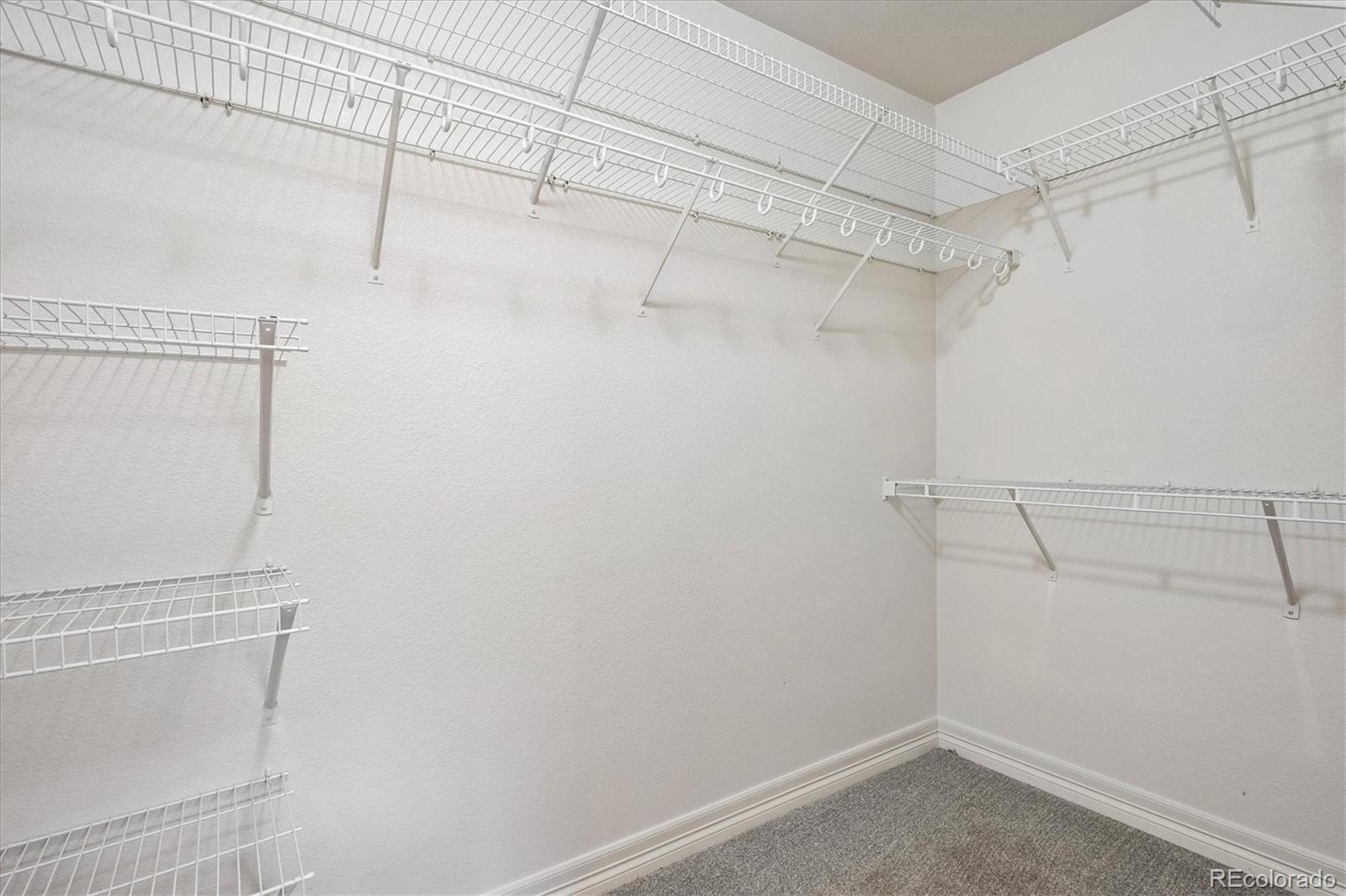 MLS Image #19 for 17315  waterhouse circle e,parker, Colorado