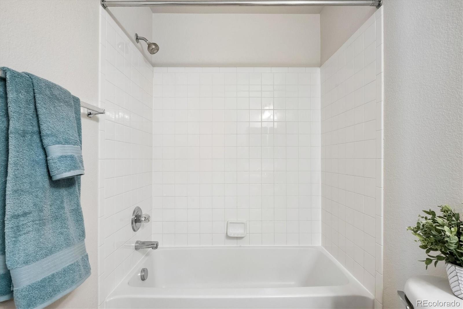 MLS Image #22 for 17315  waterhouse circle e,parker, Colorado