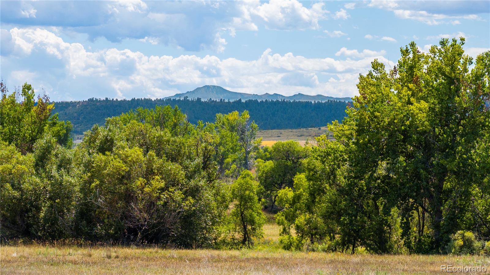 MLS Image #2 for 4959  bayou gulch street,parker, Colorado