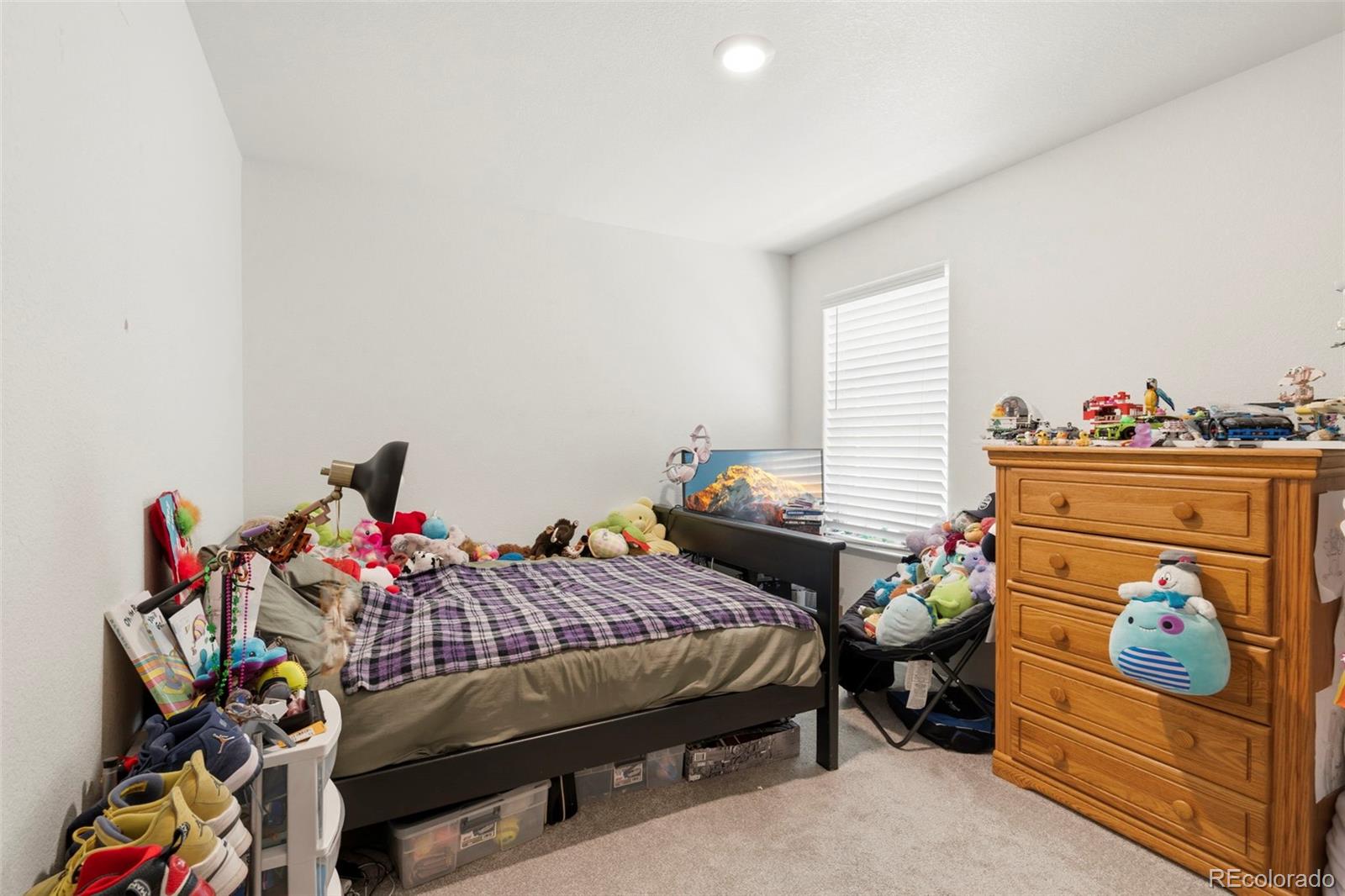 MLS Image #18 for 317  hunter avenue,brighton, Colorado