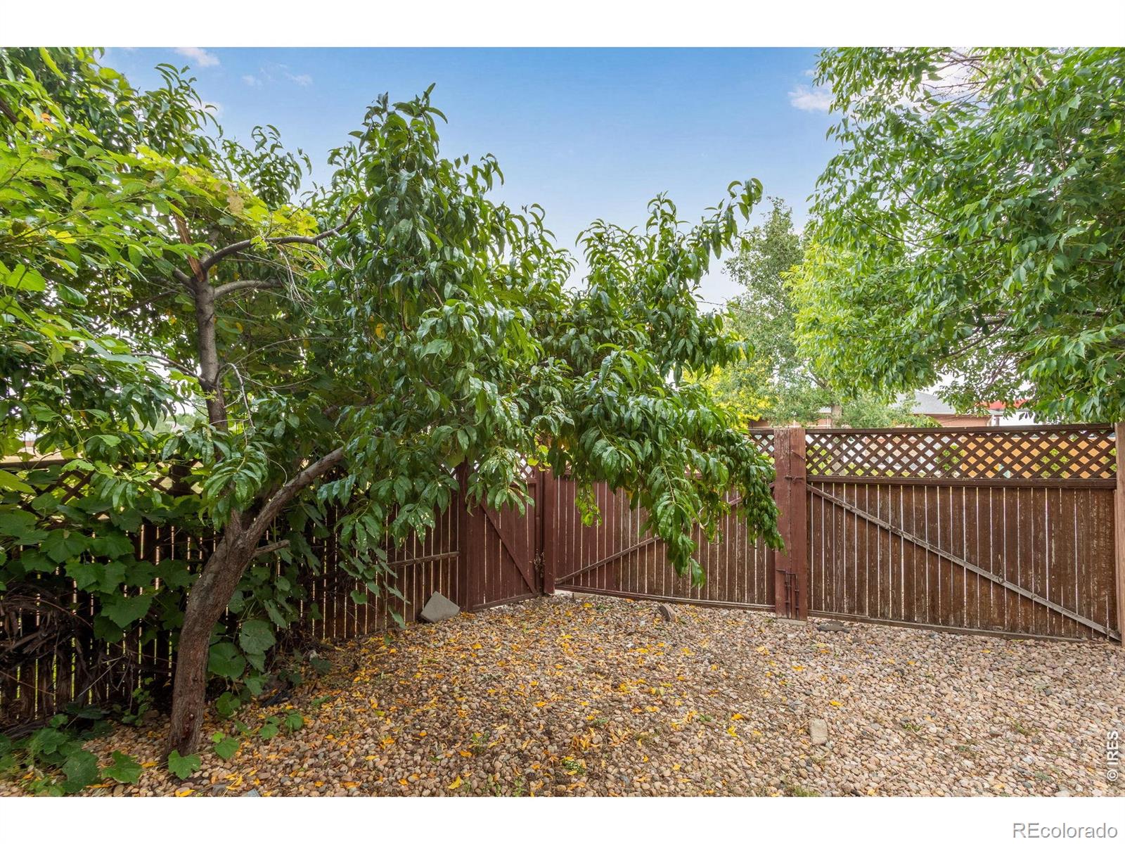 MLS Image #11 for 3608  northpoint drive,evans, Colorado