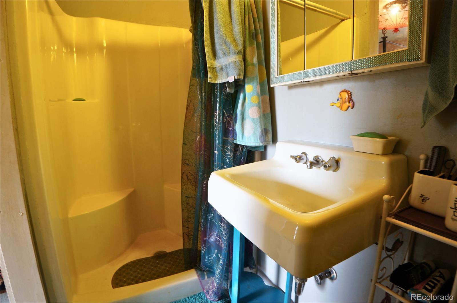 MLS Image #14 for 307 w golden avenue,cripple creek, Colorado